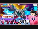 【ゆっくり実況】すっぴんクリアチャレンジ後編【カービィWiiデラックス真格闘王】