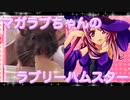 マガラブのハムスターの日常26