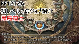 【FF12 TZA】低レベルでのジョブ紹介　黒魔道士【ゆっくり実況】