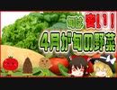 【ゆっくり解説】4月が旬の野菜ついて解説！パート1