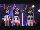 手羽先センセーション『始まりのシグナル』ライブ映像