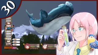 【ソフィーのアトリエDX】飛ぶ本とぶっ飛んだウキウキ錬金術師 #30【初見実況】