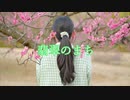 【莉依紗】翡翠のまち　踊ってみた【春が来るからさ】