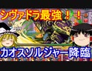 カオスソルジャー降臨周回とメモリアルガチャ【パズドラ】