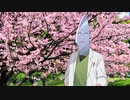 お花見【ソフトウェアトーク劇場】【ボイボ寮応援祭】