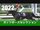 競馬 ガッツポーズセレクション 2022 ～一斉の喝采～