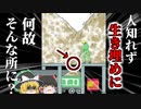 【2007年】木材チップを貯めるタンクの底穴から見えた作業服…人知れず数百キロのチップの生き埋めになってしまった男性 何故誰も気が付かない？【ゆっくり解説】