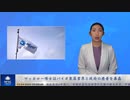 マッカロー博士は製薬業界と政府の癒着を暴露