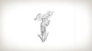 【オリジナル曲】星と菖蒲 / 過眠きしつ feat.初音ミク