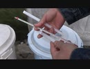 佐藤計量器製作所 赤液棒状温度計：30㎝：買いました：2022年3月10日(木)