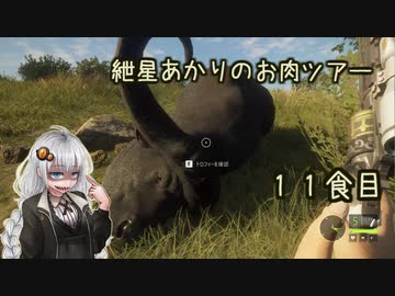 紲星あかりのお肉ツアー＠11食目【theHunter】