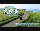 ［最北限］CBR250RRと走る礼文島［花の浮島］