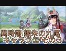 【アナザーエデン】　異時層 銀朱の九尾 キャラクエその3