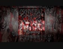 Cannibal Corpse - Stripped Raped and Strangled