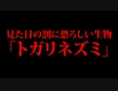 見た目の割に恐ろしい生物！！