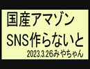 近所で反ワク扱い、まぁ仕方ないのですが、国産ＳＮＳ欲しいです