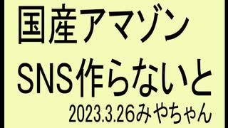 近所で反ワク扱い、まぁ仕方ないのですが、国産ＳＮＳ欲しいです