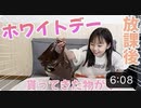 【ハピバニチャンネル】【vlog】ホワイトデーの日の放課後に何か持って帰ってきました！好きぴから？？