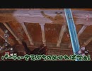 【ドクター】ゆっくりとDBD-48