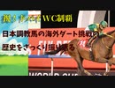 【祝　ドバイWC制覇！】日本調教馬海外ダート挑戦の歴史【ゆっくりざっくり解説】