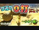 絶対に取れない蜂蜜とは･謎動作｢放り投げる｣･ゴルフ0打など小ネタ集【ブレワイ BotW】裏技 バグ 検証 ゆっくり実況 glitch