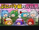 【ゆっくり茶番】ぷにパタパタ組のお花見
