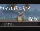 【ソード】家事を終わらせたのでポケモンやります【実況】Part3-2