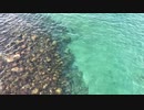 Sep.2020 Kashiwajima island Kochi Shikoku Japan 日本　四国　高知　柏島