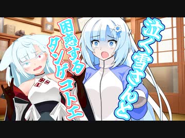 泣く雪さんと困惑するタンゲコトエ【WhiteCUL ソフトウェアトーク劇場】