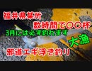 【ヤリイカ大漁】数時間で〇〇杯！3月末でも福井県某所でヤリイカが邪道エギの浮き釣りで釣れます！
