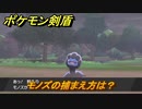 ポケモン剣盾　モノズの出現場所は？オススメの場所は？天気は？ポケモン図鑑コンプへの道！　最新版【ポケモンソード・シールド】