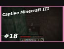 【Minecraft】 #18 下にはいったい何があるの 【Captive Minecraft III】