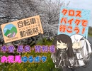 【パワポ紙芝居】木曽／長良・背割堤 お花見ゆるポタ