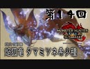 【MHRSB】飛んで火に入る俺たち　第14回