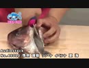 三点バーストのテーマ