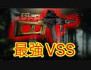 【タルコフ】究極銀河級最強ライフルVSSのアクロニムを紐解くずんだもん実況/VSS ＆ SP-6