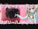 ゾンビーナのハムスターの日常。28