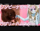 ゾンビーナのハムスターの日常。30