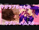 マガラブのハムスターの日常29
