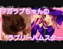 マガラブのハムスターの日常30
