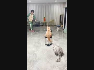 ホモと見る　漫画みたいな展開