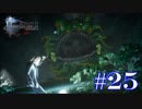 絶対に逃げないFINAL FANTASY XV【part25】