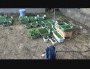 栽培の様子：2021年12月17日：また何かに荒らされた！□