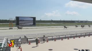 2022年7月22日名古屋競馬6R ２歳新馬 セブンカラーズ