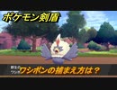 ポケモン剣盾　ワシボンの出現場所は？オススメの場所は？天気は？ポケモン図鑑コンプへの道！　最新版【ポケモンソード・シールド】