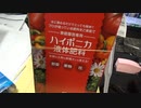 家庭菜園：4ヶ月まとめの独り言：2021年11月22日