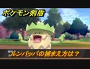 ポケモン剣盾　ルンパッパの出現場所は？オススメの場所は？天気は？ポケモン図鑑コンプへの道！　最新版【ポケモンソード・シールド】