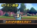 ポケモン剣盾　ルカリオの出現場所は？オススメの場所は？天気は？ポケモン図鑑コンプへの道！　最新版【ポケモンソード・シールド】