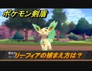 ポケモン剣盾　リーフィアの出現場所は？オススメの場所は？天気は？ポケモン図鑑コンプへの道！　最新版【ポケモンソード・シールド】