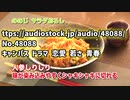 にんじんしりしりのテーマ
